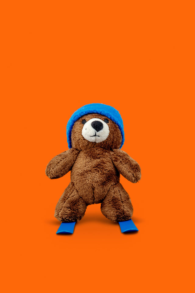 snowbaer on ski "blue"