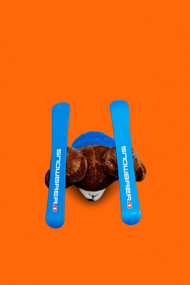 snowbaer on ski "blue"